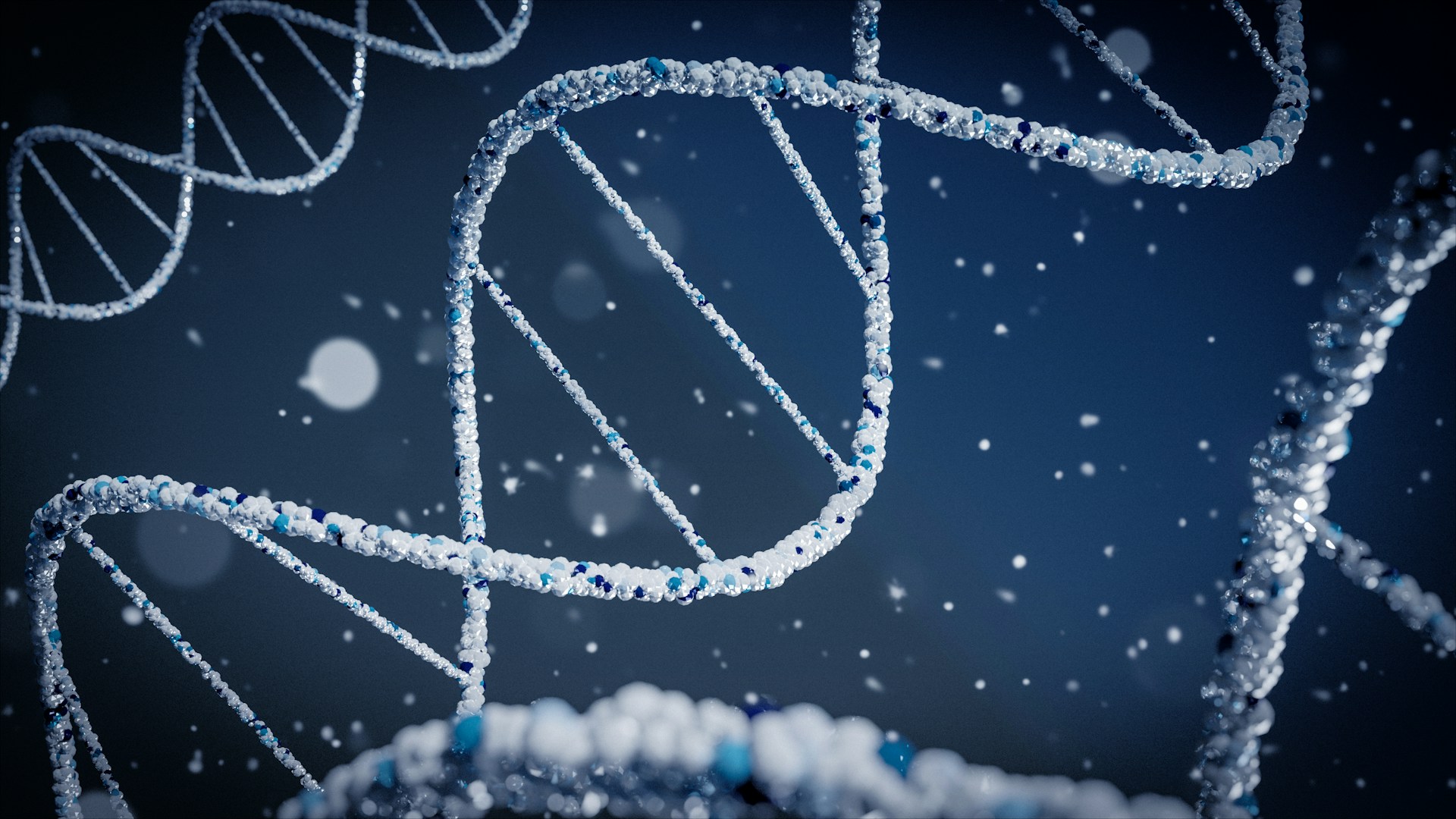 pruebas geneticas